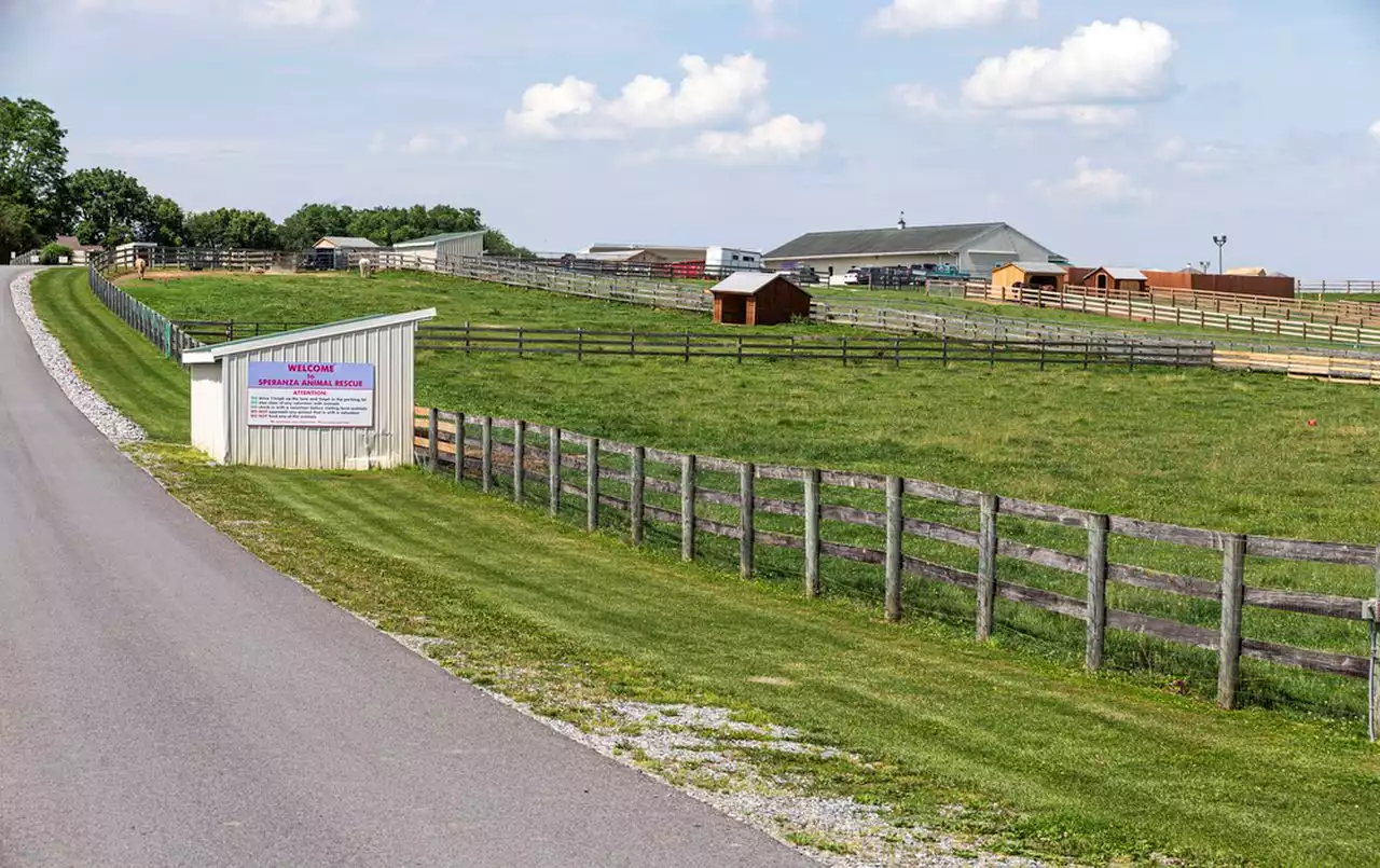 50 dogs sick at central Pa. shelter: ‘This is just an absolute nightmare’