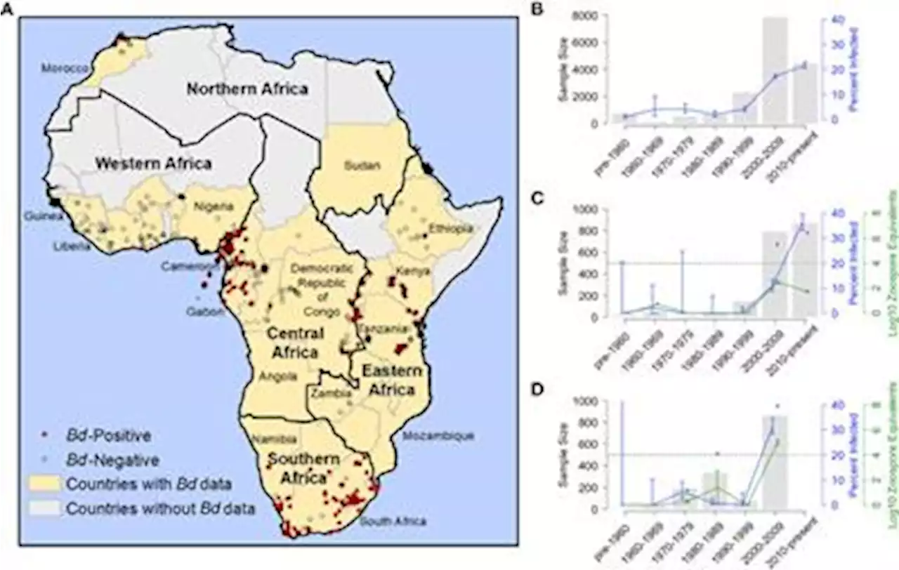 Frontiers | Continent-wide recent emergence of a global pathogen in African amphibians