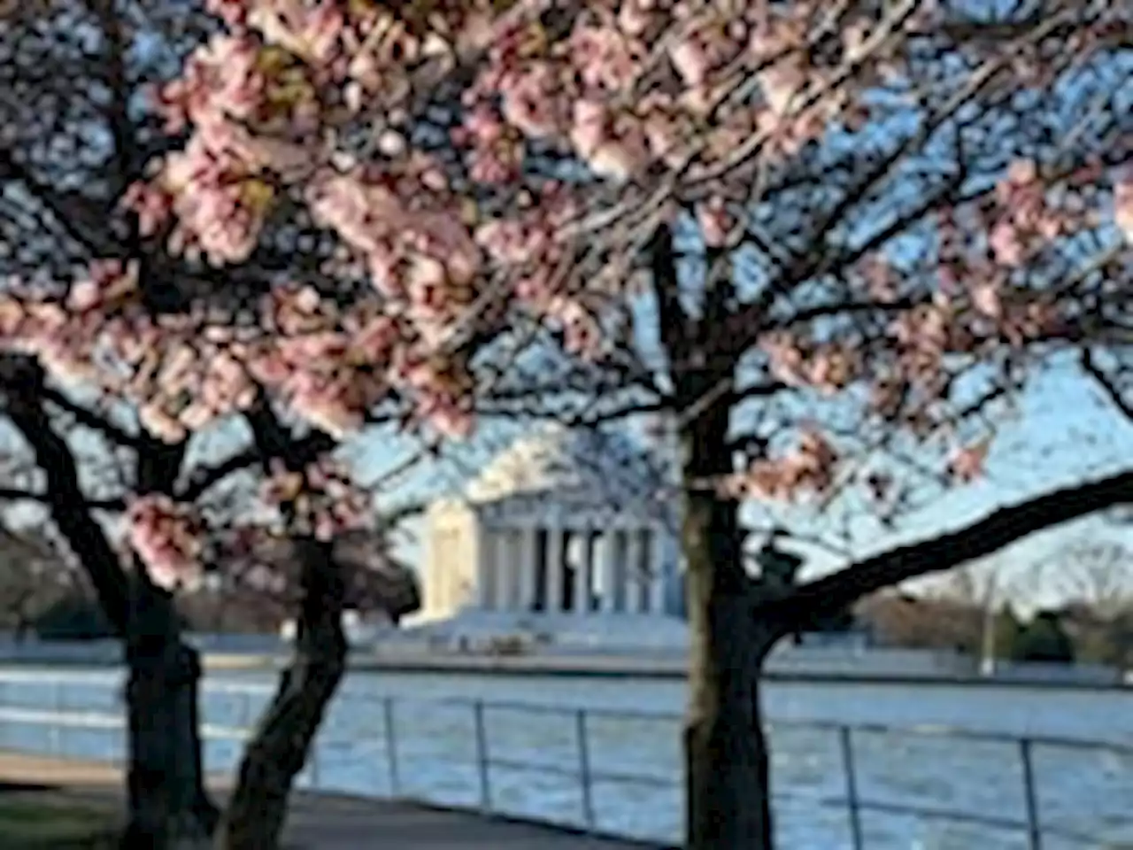 D.C.-area forecast: Sunny, slightly warmer but still windy today; really nice tomorrow