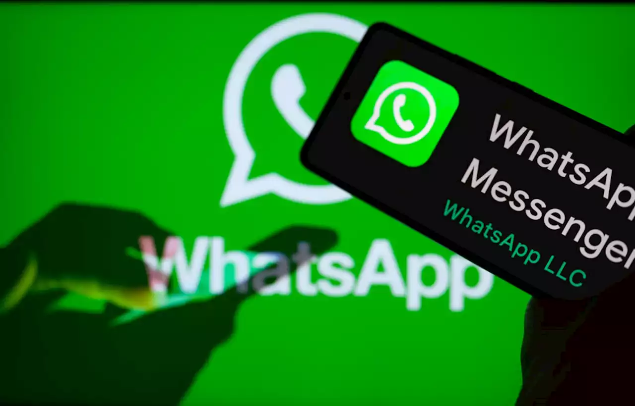 Whatsapp: filtran nueva actualización con novedades que le pueden gustar a muchos - Pulzo