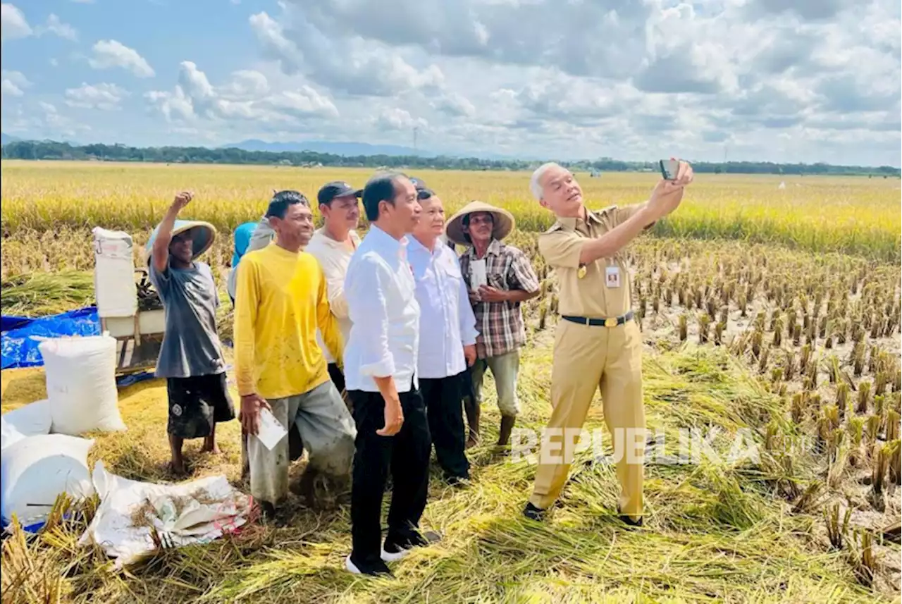 Jokowi Heran Saat Panen Raya Harga Beras Masih Mahal |Republika Online