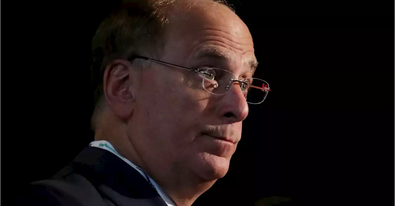 BlackRock CEO Fink warns of financial risks, persistent inflation