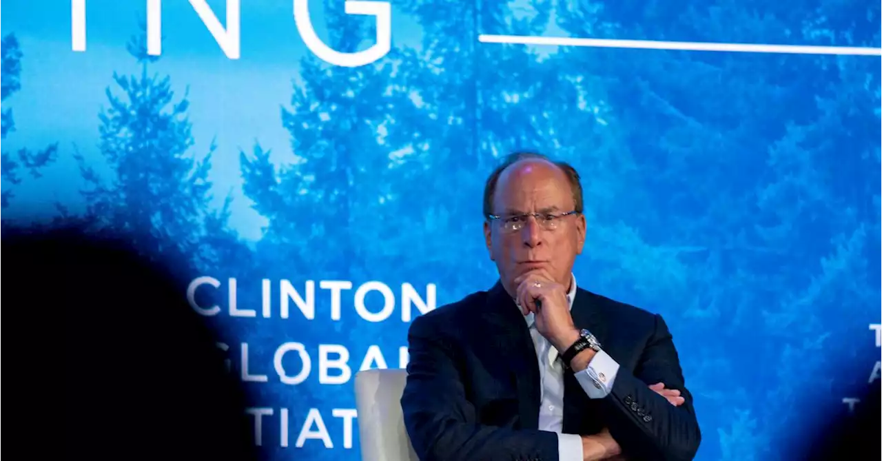 Breakingviews - Larry Fink finds way to dodge ESG crosshairs