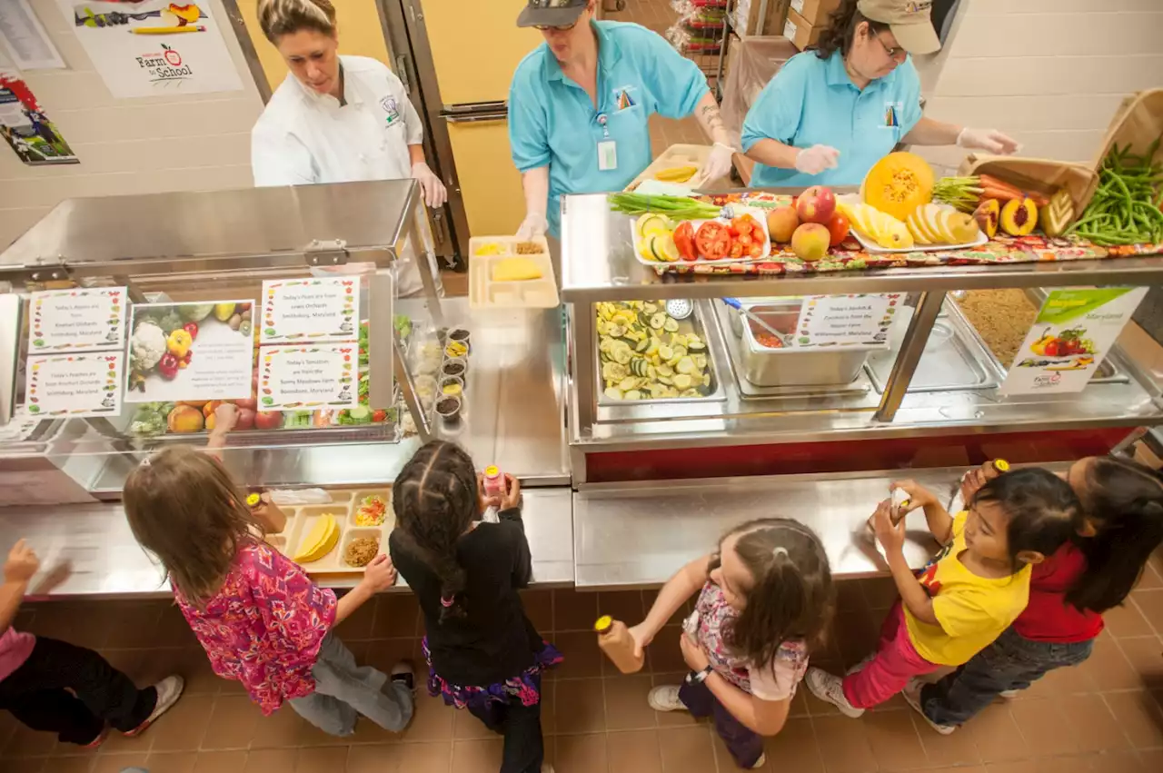 GOP Lawmaker Says Children Aren't Hungry Enough to Justify Free Meals at School