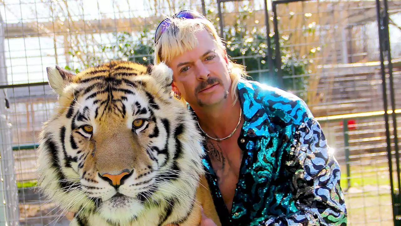 Joe Exotic Wants to be the Next Criminal President