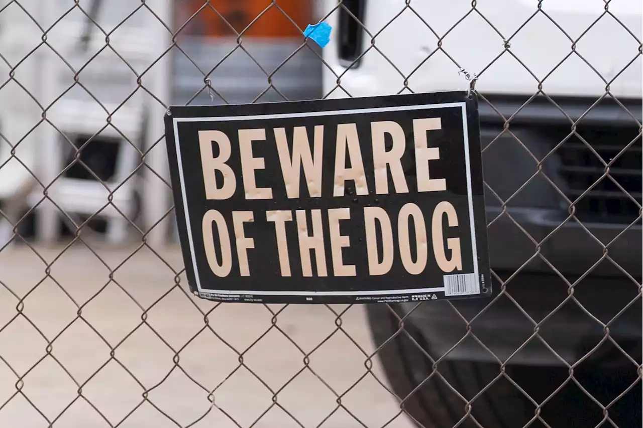 San Antonio will issue criminal citations for dog bites in some cases