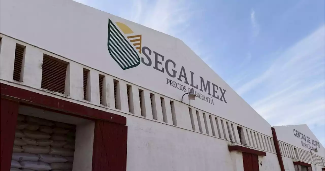 FGR captura al excoordinador de Diconsa por desfalco en Segalmex; suman 9 detenidos