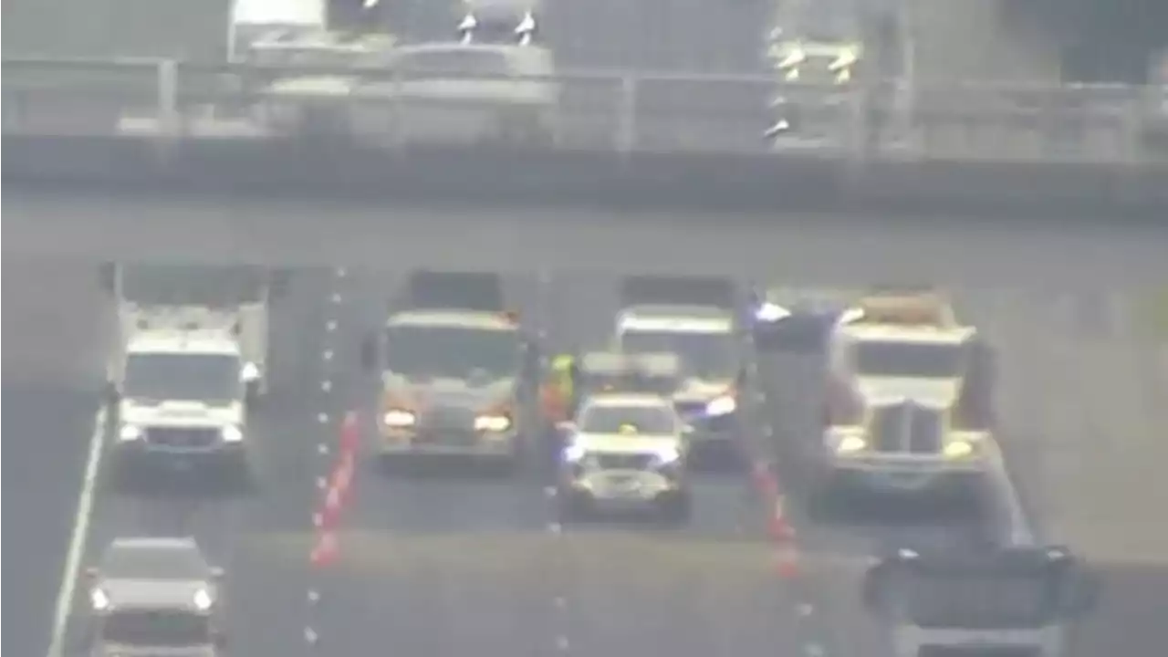 Bizarre find causes traffic delays on busy freeway