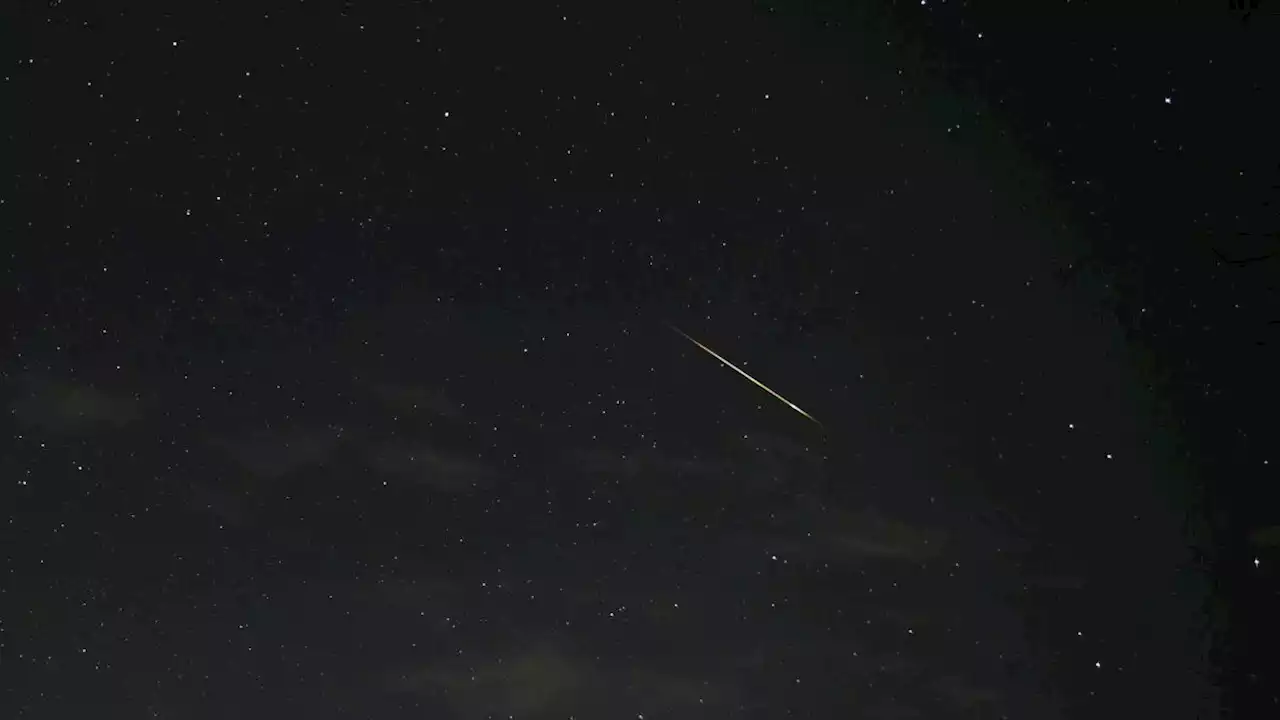 Gamma Normid meteor shower peaks on March 15 for the southern hemisphere