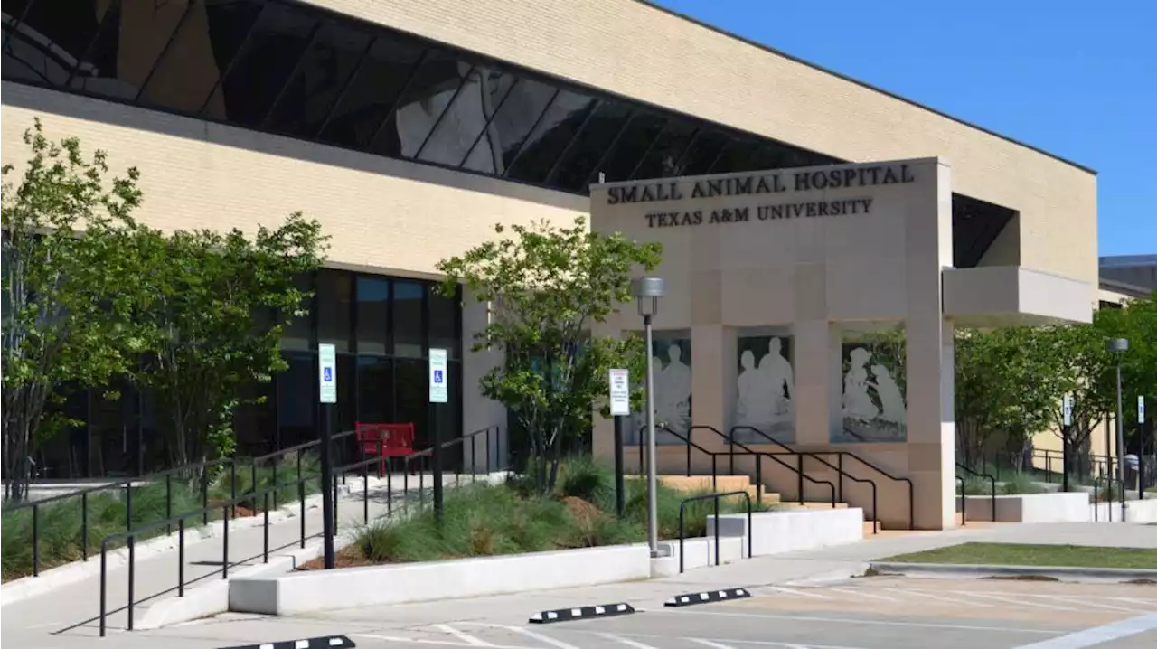 Texas A&M receives $20 million for Animal Teaching and Research Hospital