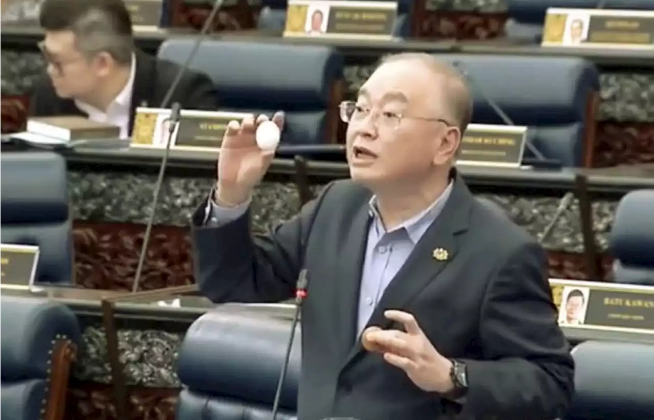 'Deepak' to settle egg shortage issue, Dr Wee tells Parliament