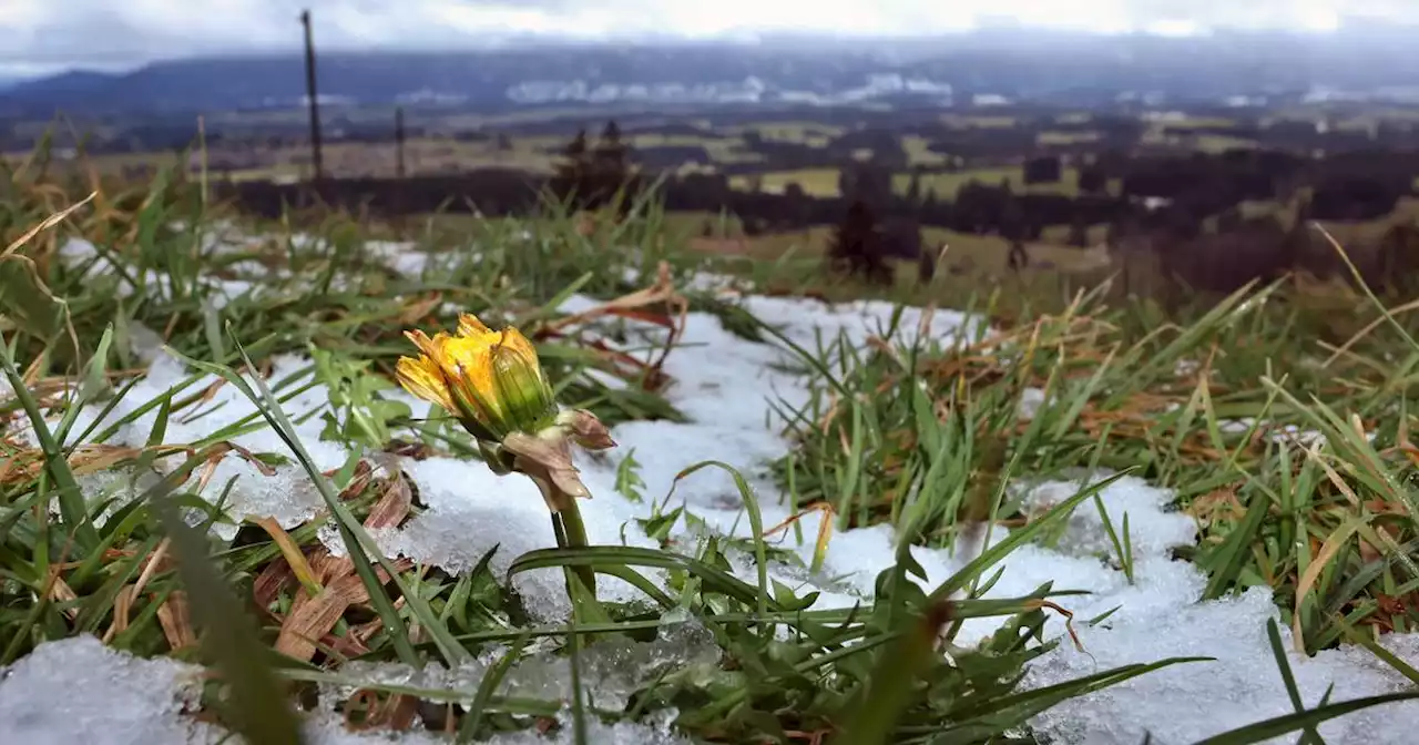 DWD-Wetter: Nach Schnee am Mittwoch kommt der Frühling ins Saarland