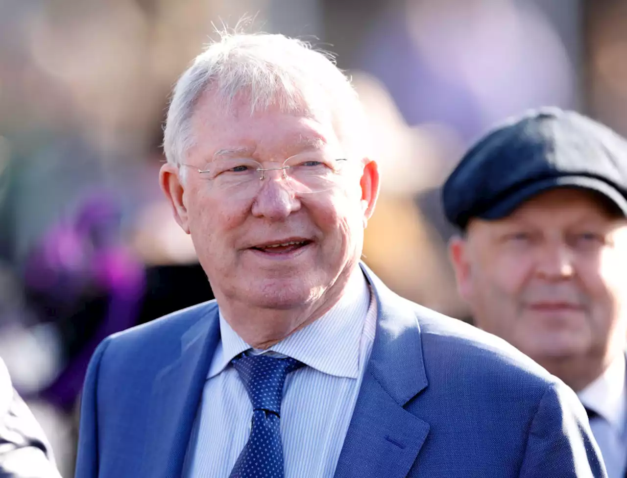 Sir Alex Ferguson eyeing another famous treble at Cheltenham and £600k windfall