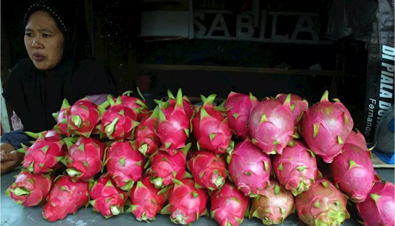 3 Resep Olahan Buah Naga, Praktis dan Mudah Dibuat