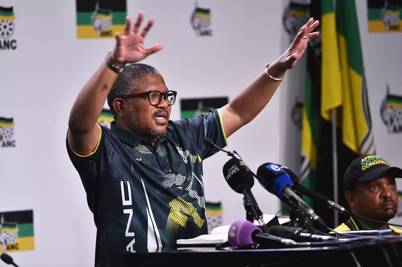 'Anarchy at its highest order': Mbalula slams EFF's planned national shutdown | The Citizen