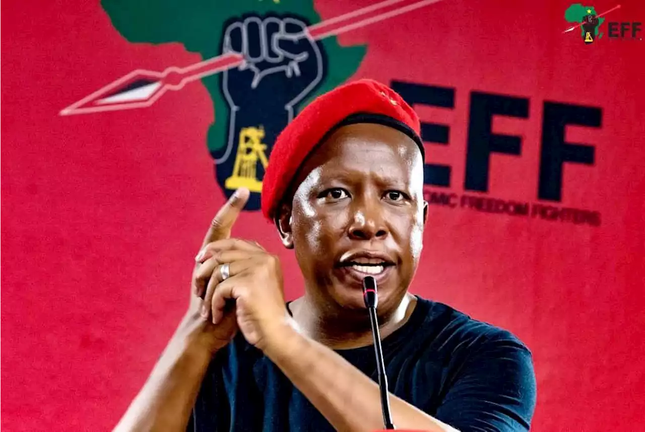 WATCH: 'EFF accused to undermine the rule of law' [Video]