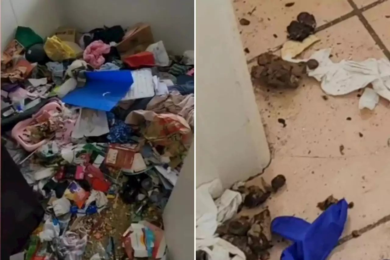 I'm a landlord - I was left with £16k bill after tenants left maggots & poo