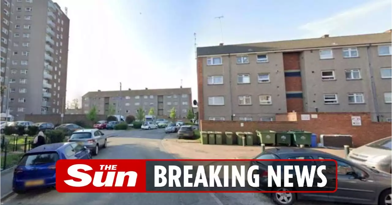 Toddler, 2, fighting for life after plummeting from flat's 8th floor window