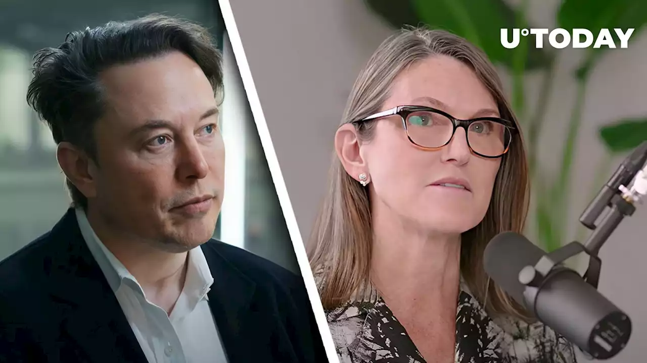 Elon Musk Responds to Cathie Wood About Bitcoin (BTC), Ethereum (ETH) Rising in Current Bank Crash