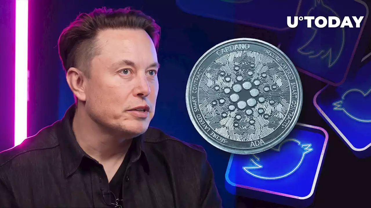 Elon Musk Tweets This, and Cardano's Most Hyped AI Project Spikes 15%