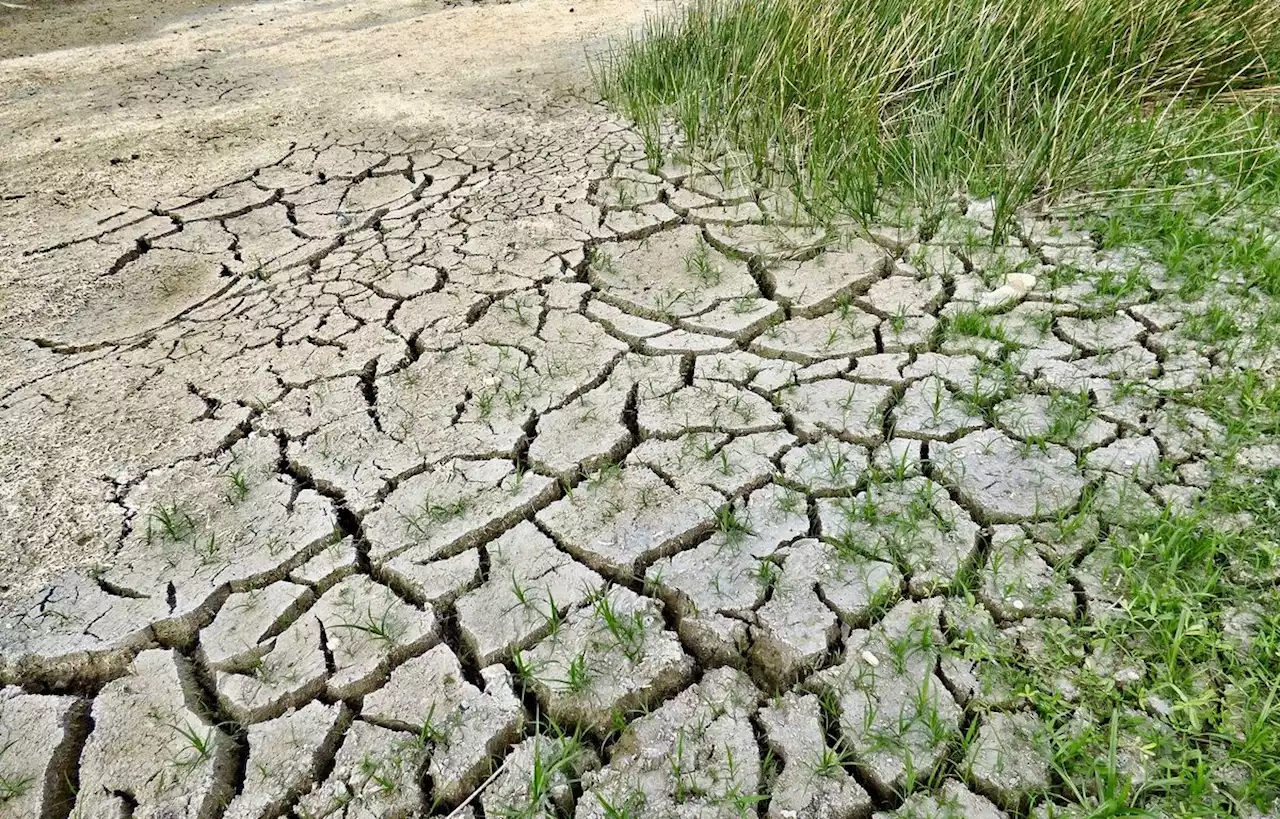 Face à la sécheresse, des restrictions d’eau en Guadeloupe