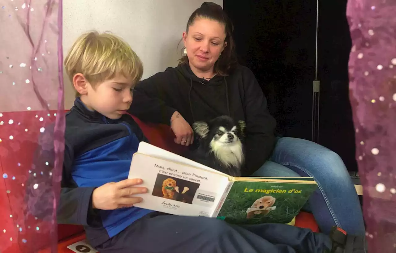 Lire avec un chien, une étonnante méthode pour « dédramatiser » la lecture