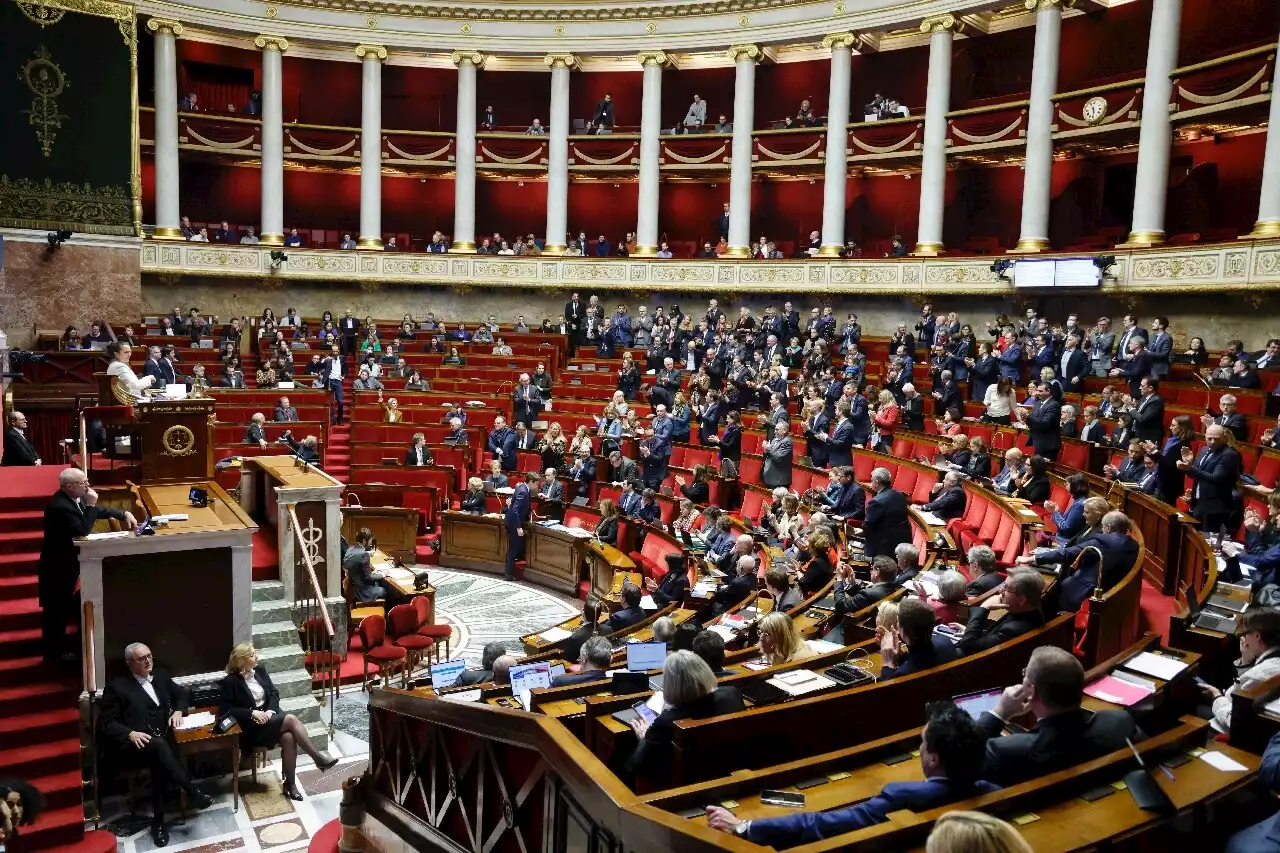 Réforme des retraites : l'heure de vérité pour la réforme de Macron au Parlement