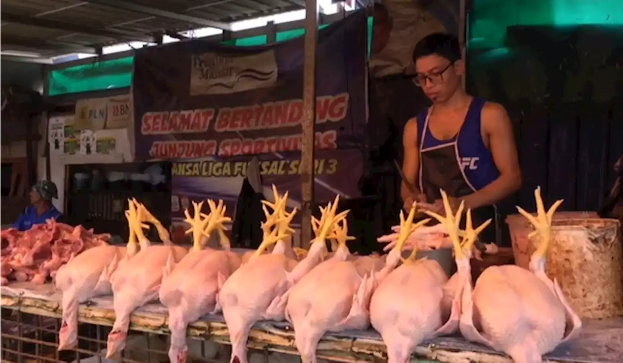 Tembus Rp 60.000, Harga Daging Ayam di Makassar Kian Mahal Jelang Ramadan