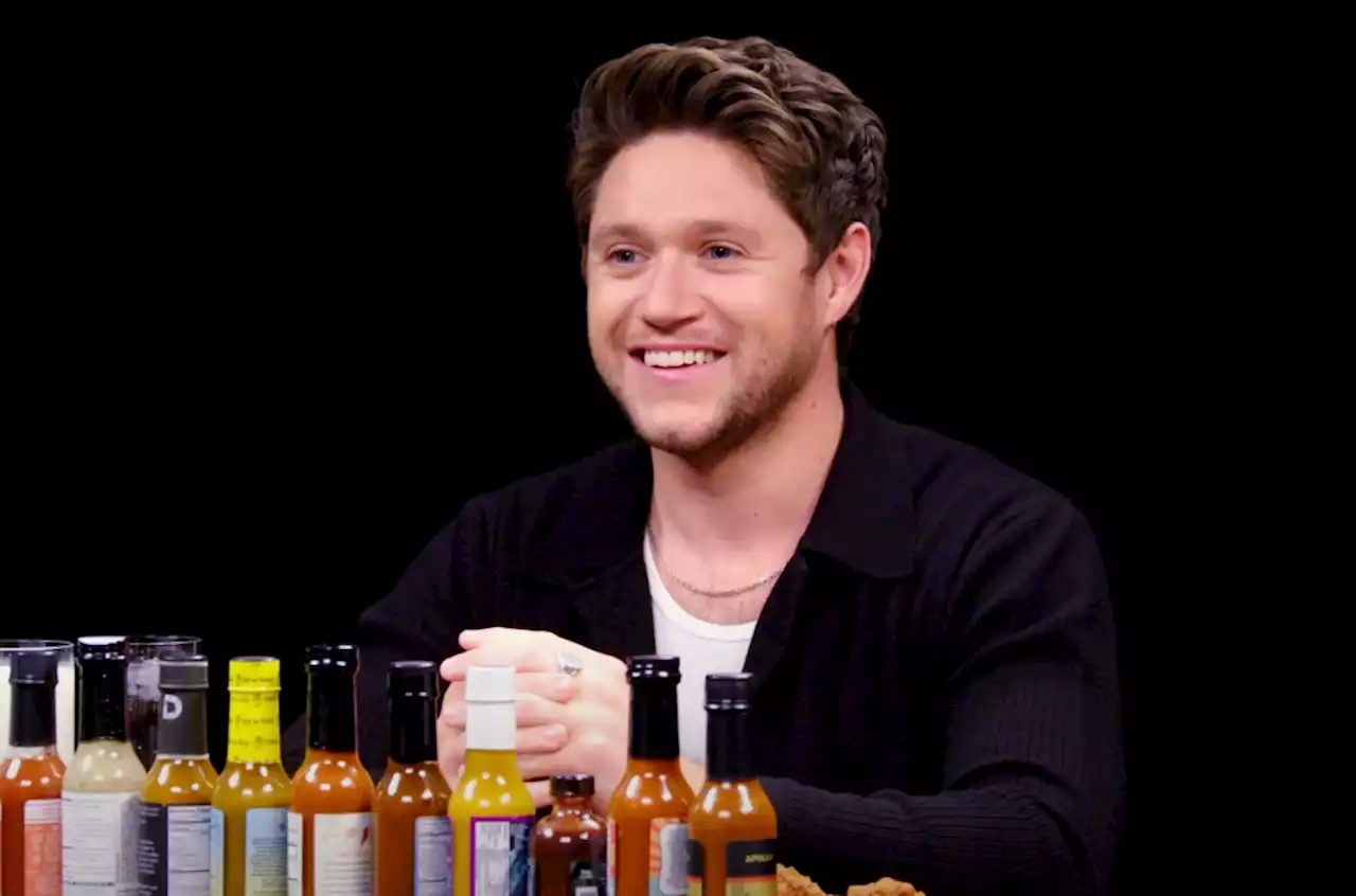 Niall Horan Jokes He ‘Wouldn’t Turn’ for His 2010 ‘X Factor’ Audition as a Coach on ‘The Voice’