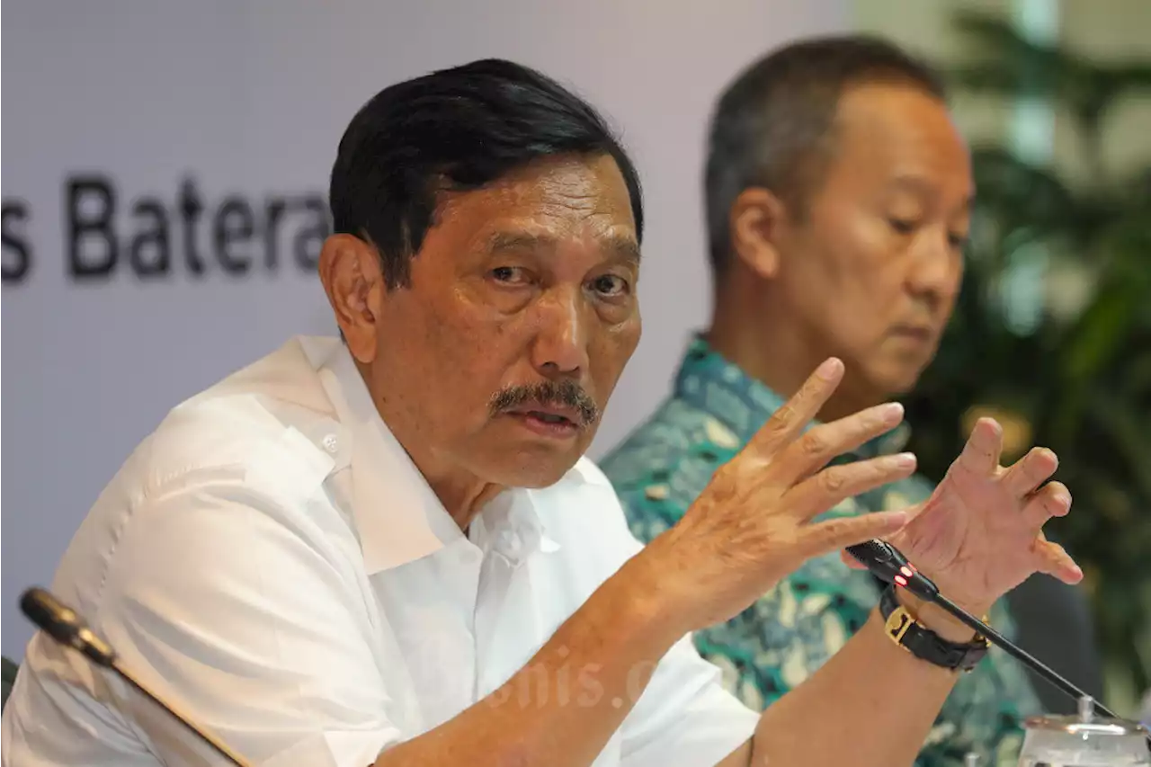 Luhut Usulkan Instansi yang Tak Pakai Produk Dalam Negeri Dikenakan Sanksi