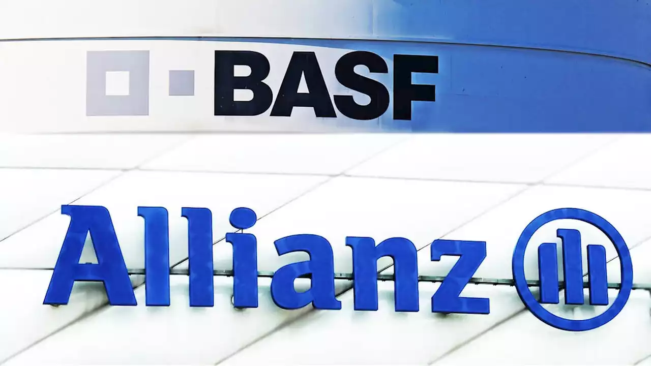 Allianz und BASF: Neue Kursziele und Einschätzungen nach den Rückschlägen