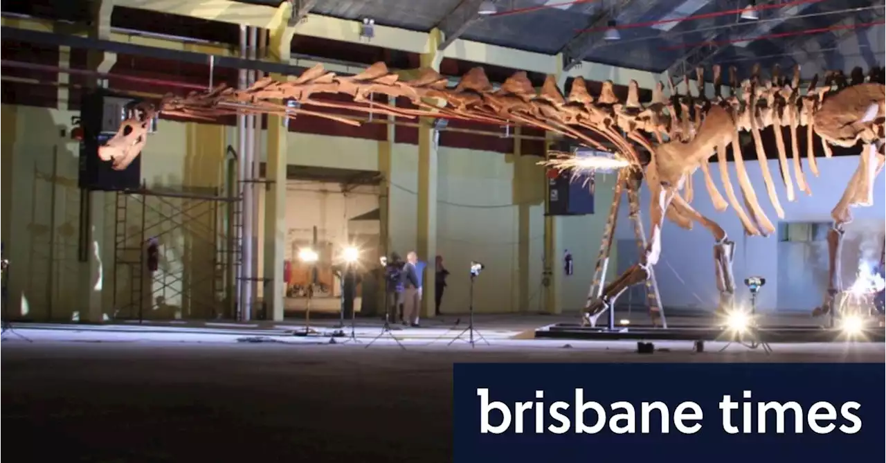 Qld exhibition features largest-ever dinosaur, a cousin to Aus heavyweight