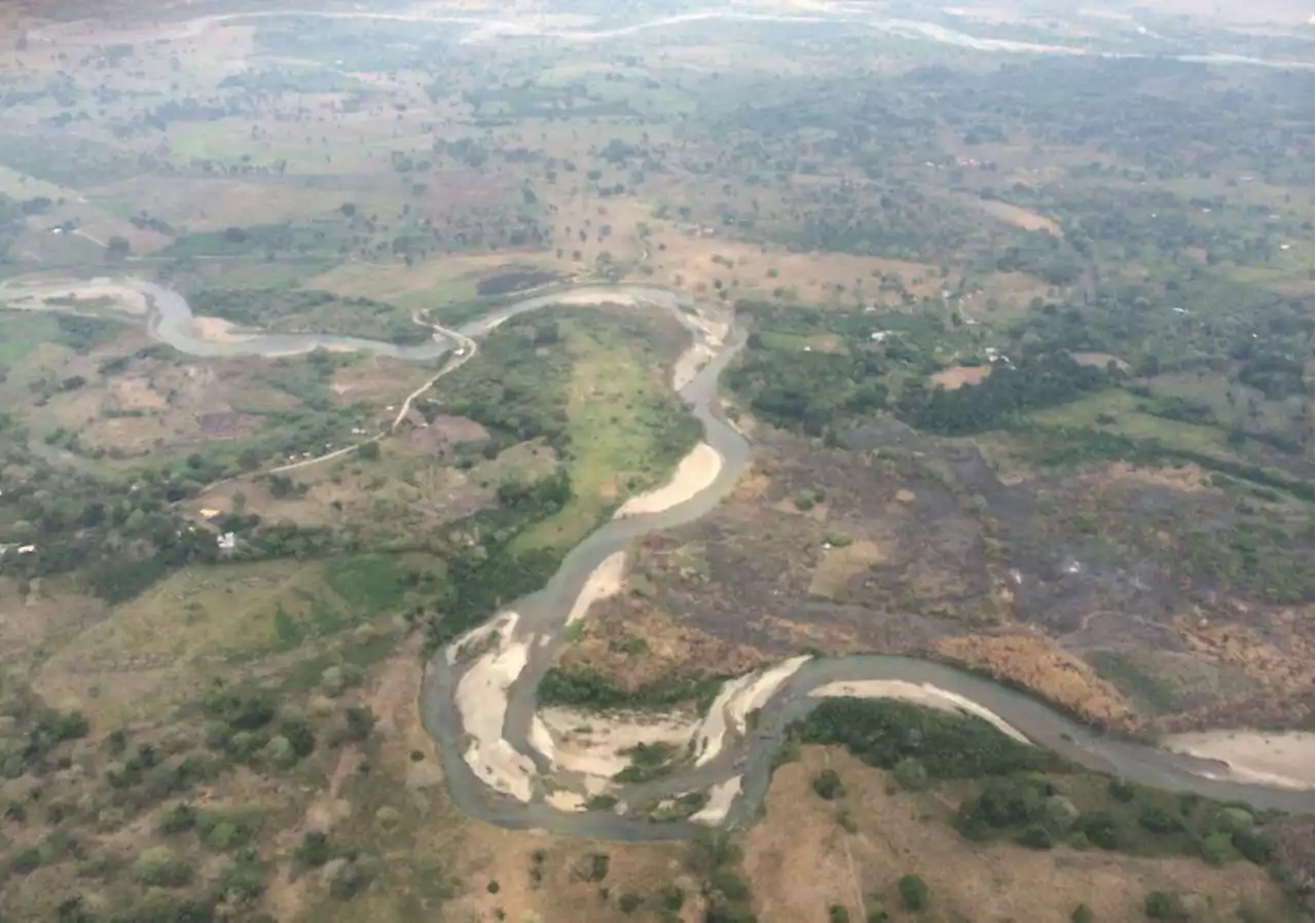 “En la Amazonia se han identificado 5 núcleos activos de deforestación” Procuraduría