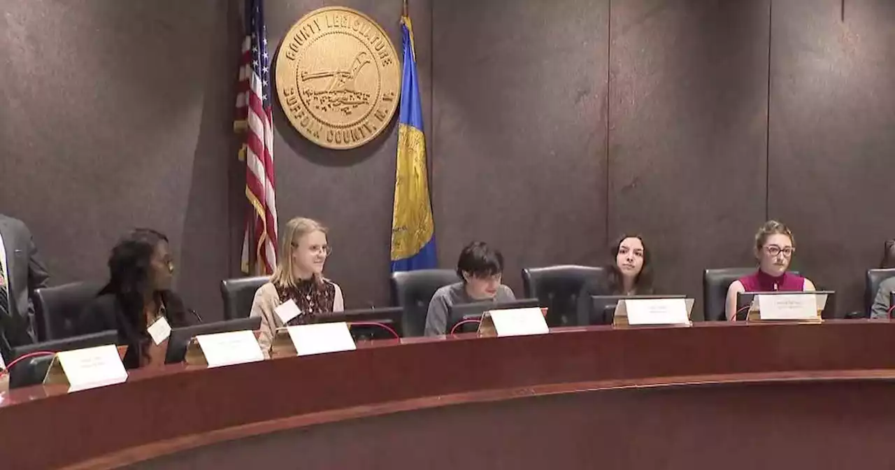 Suffolk County students debate use of armed security guards