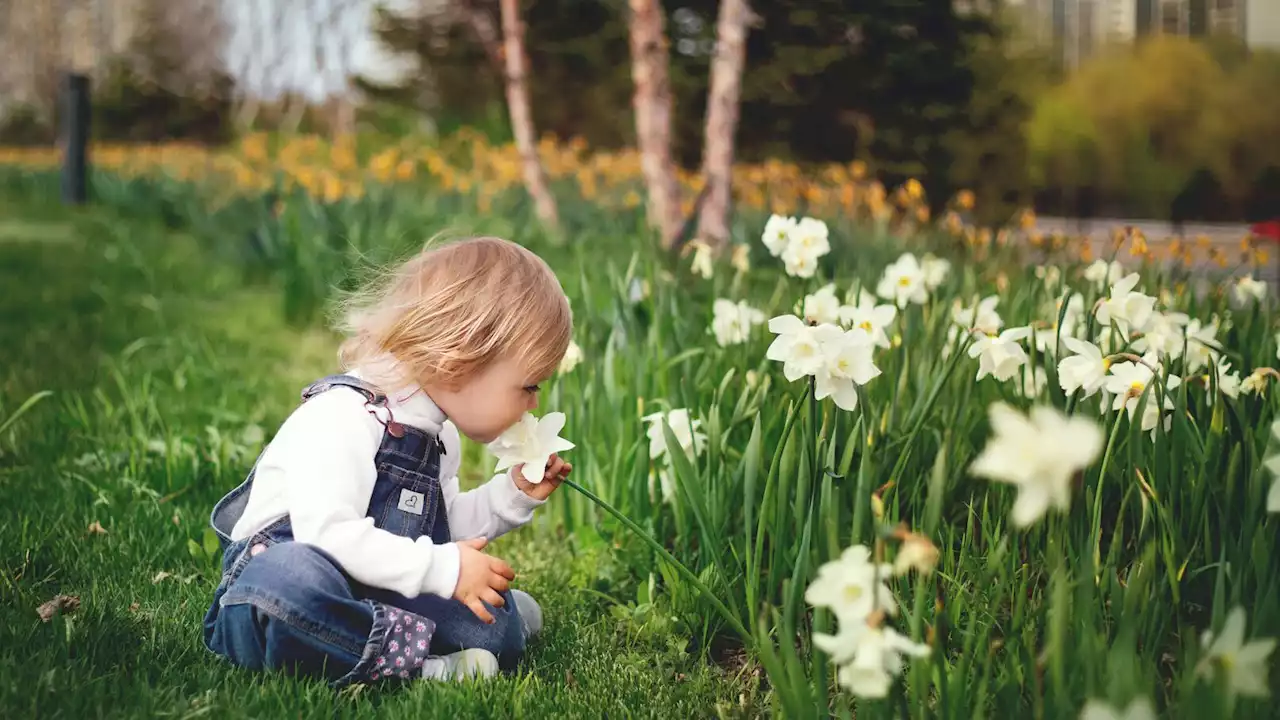 Un petit garçon de 3 ans trouve la mort des mains de son propre père après un horrible accident de jardinage