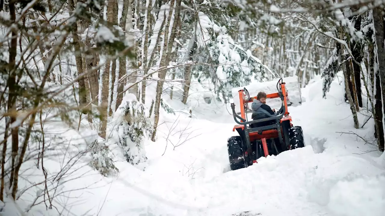 U.S. Northeast digs out from winter storm, faces power outages