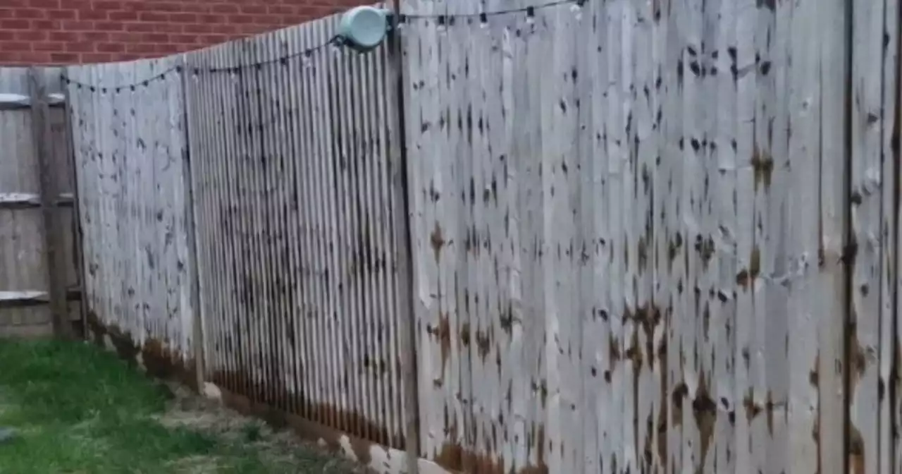 Woman says neighbour staining fence 'without permission' is 'criminal damage'