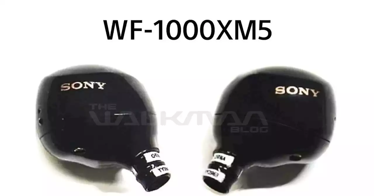 Sony WF-1000XM5 leak offers a first look at the unannounced earbuds | Engadget