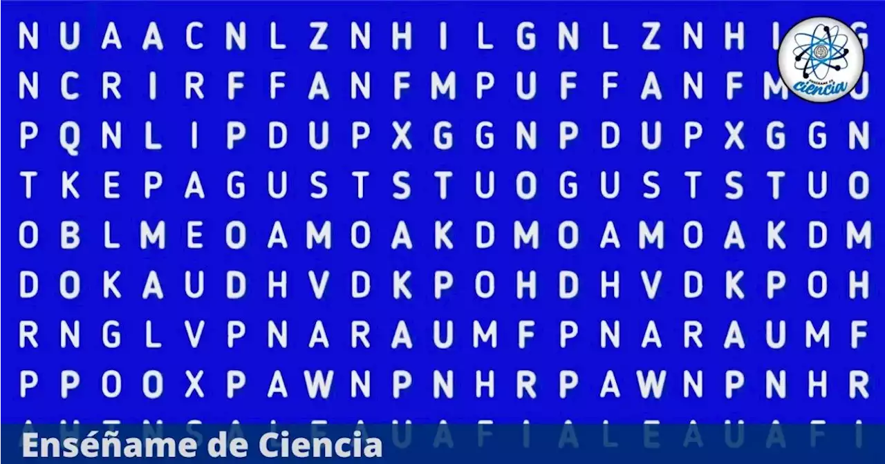 ¿Ubicas la palabra “LUZ” en la sopa de letras? Resuelve el acertijo antes de 7 segundos