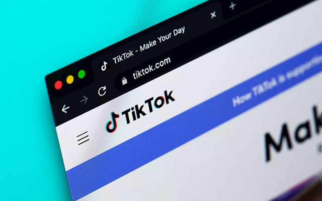 TikTok’s ownership, security risks spark bans across nations