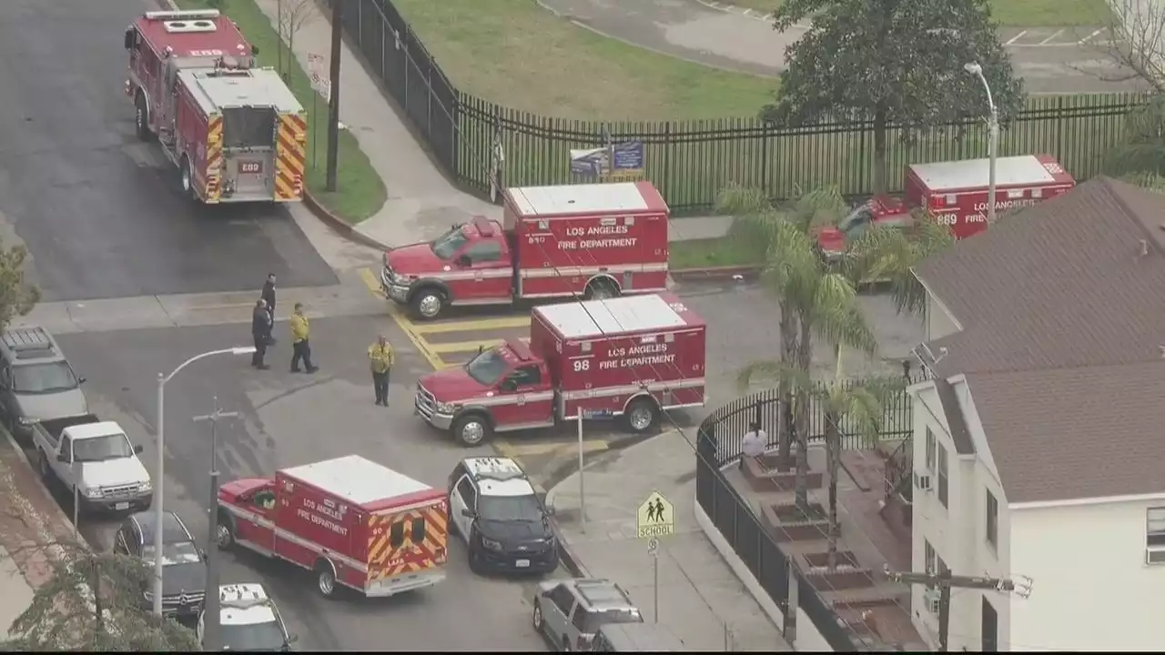 LAFD: Multiple students sickened after taking marijuana gummies on campus of Sun Valley school