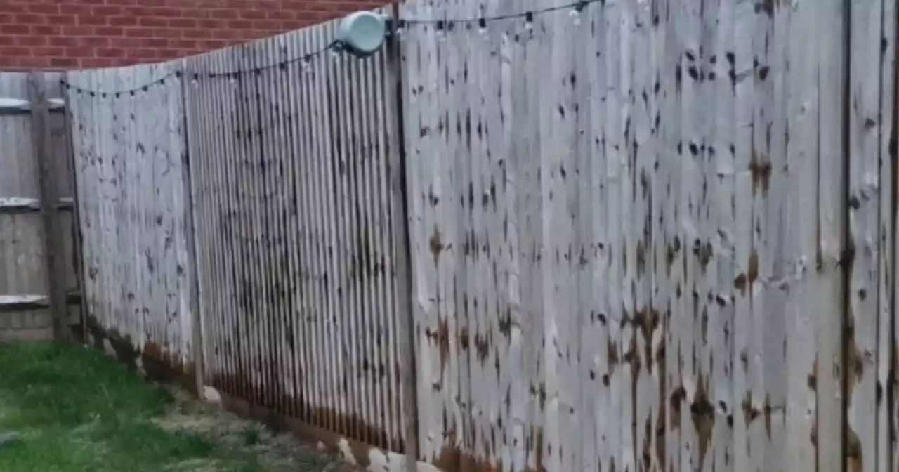 Livid woman slams neighbour for 'criminal damage' after garden fence stained