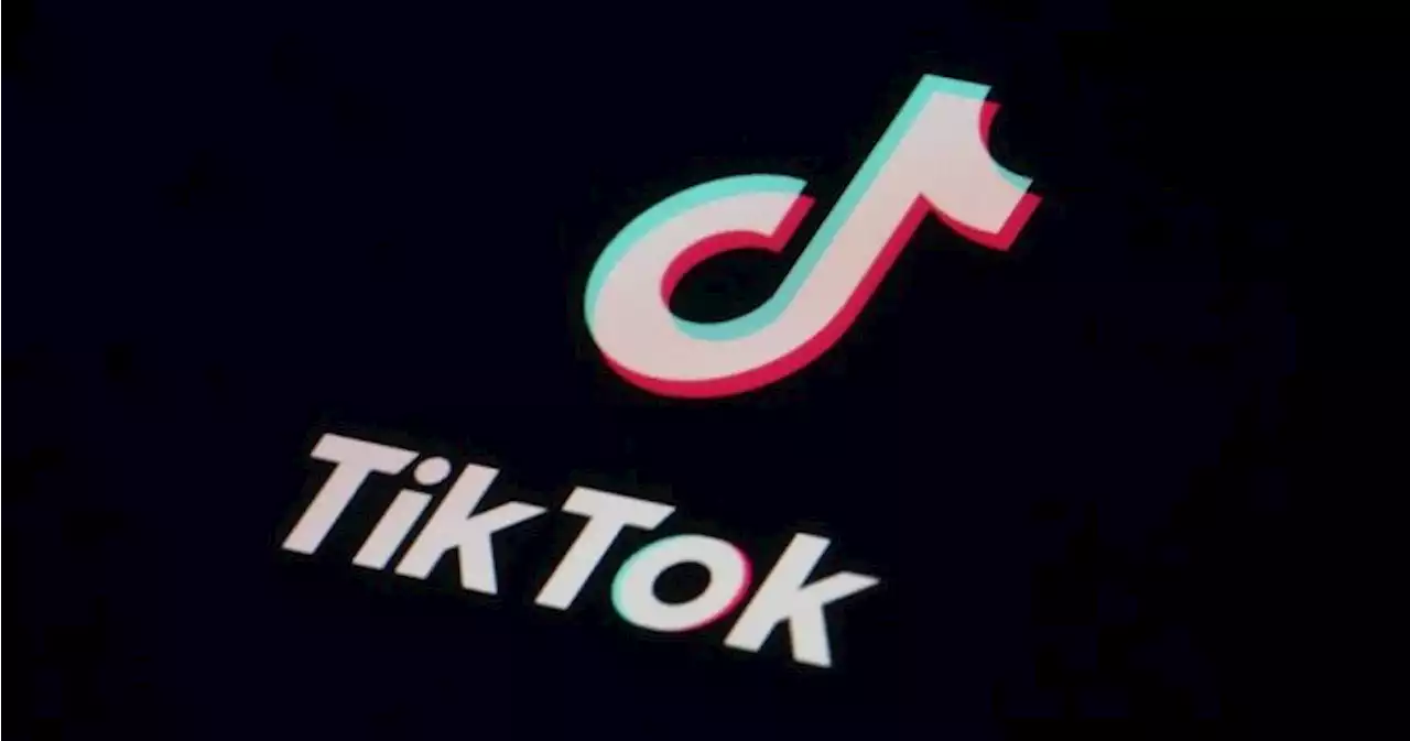 TikTok says Chinese divestment wouldn’t solve national security concerns - National | Globalnews.ca