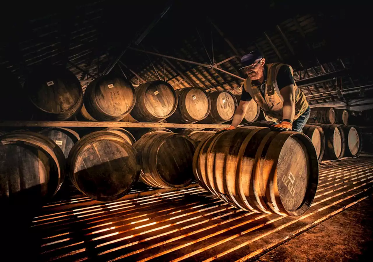 Rare whisky: Better than liquid gold for investors