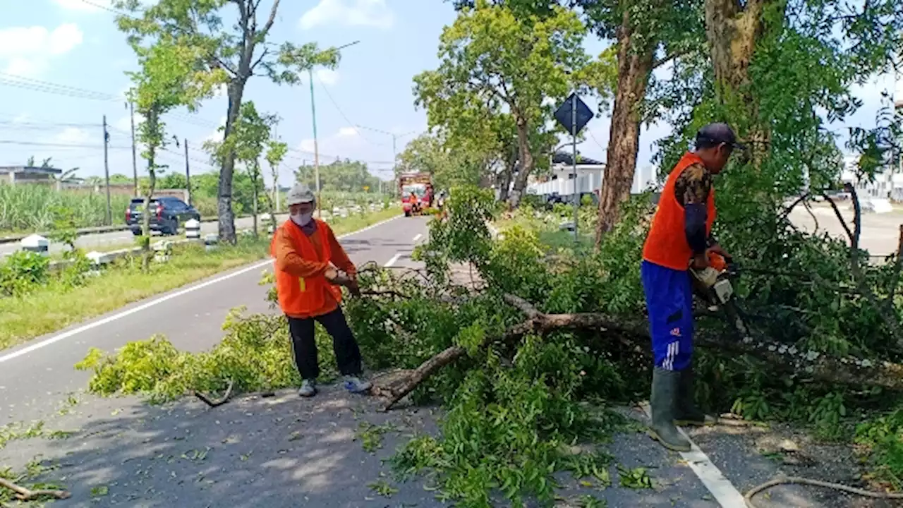 DPUPR Jatim Rapikan Pepohonan Jelang Ramadan