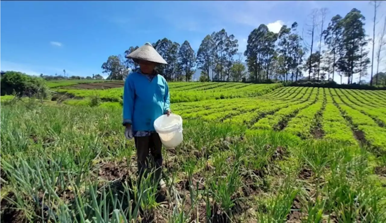 Pemuda di Batu Tidak Tertarik Jadi Petani