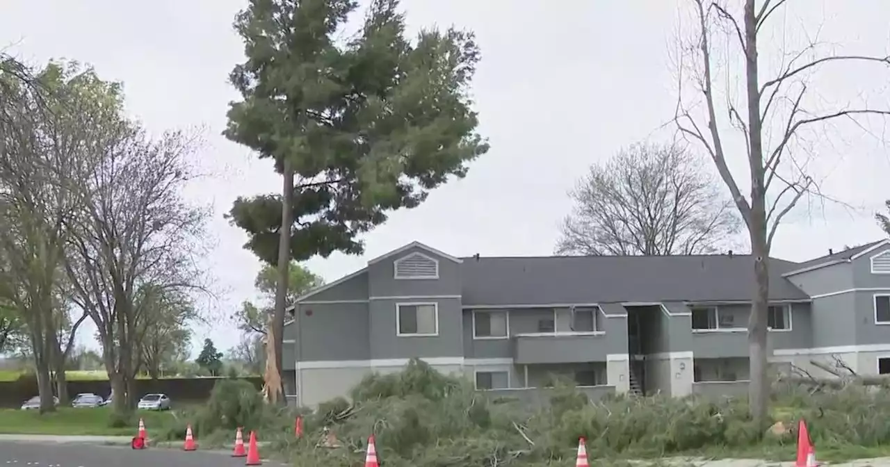 Crews clean up Livermore apartment complex battered by wind-toppled trees