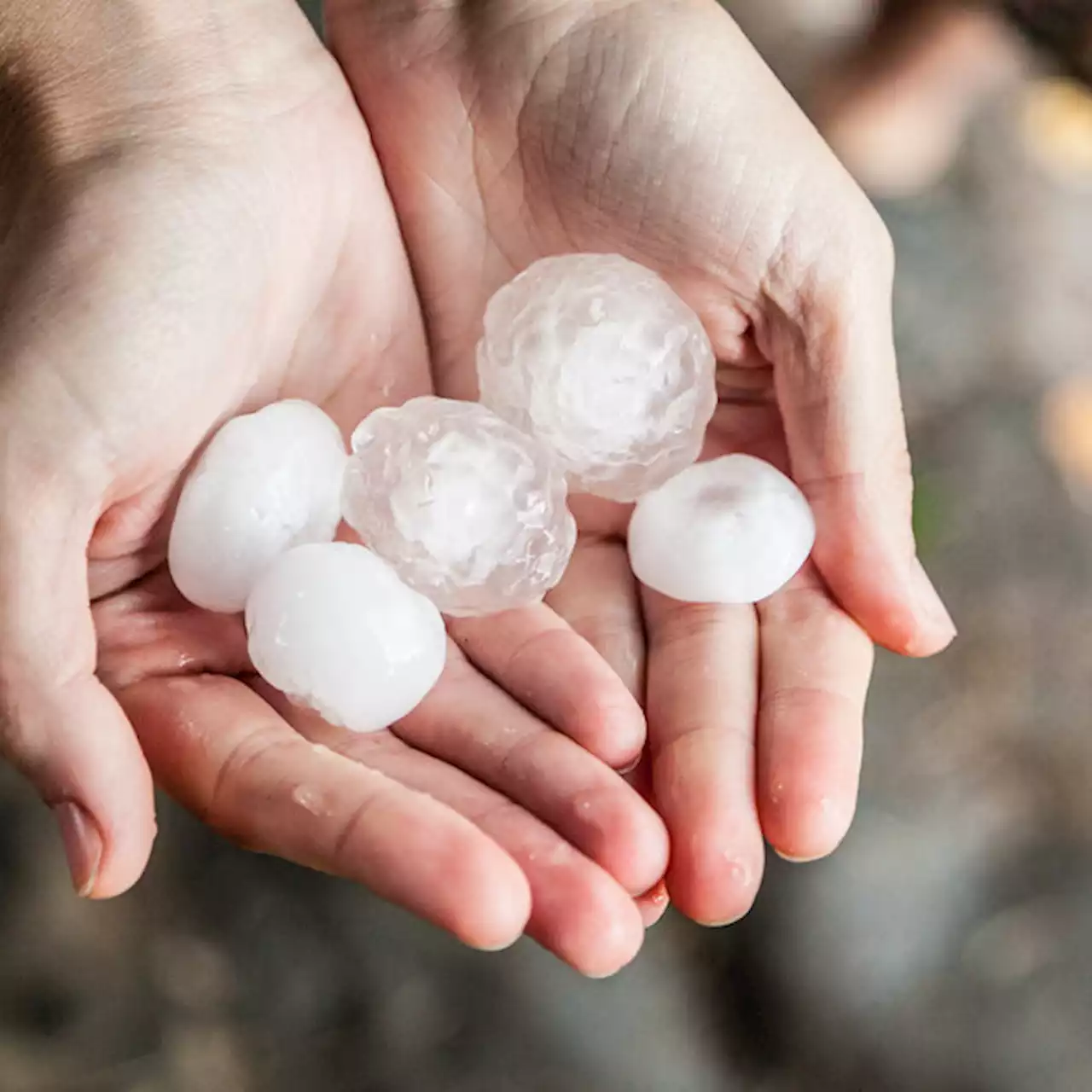 Hail, wind and isolated tornadoes possible in Thursday's severe weather threat - KRLD News