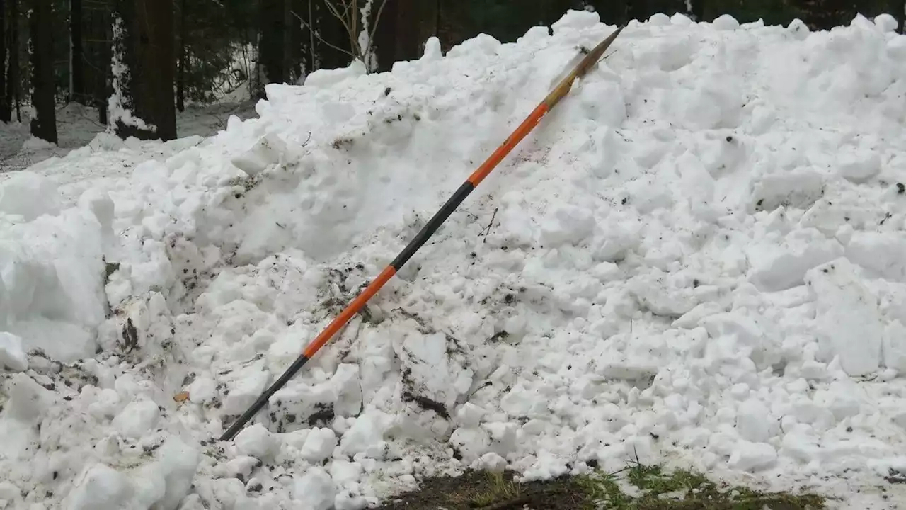 Bluttat mit Schneestange: Bursche zurechnungsfähig