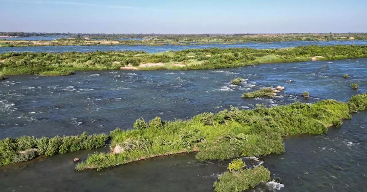 Au Cambodge, les derniers dauphins de l'Irrawaddy luttent pour leur survie